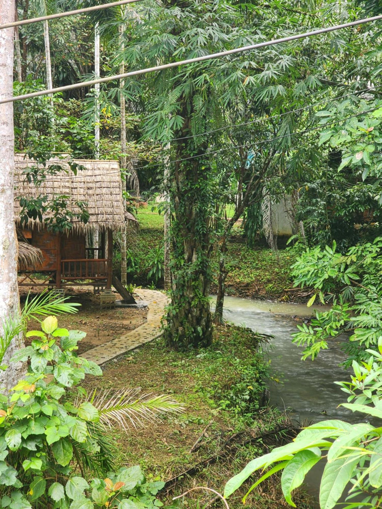 Khao Sok Silver Cliff Resort Khao Sok National Park Room photo
